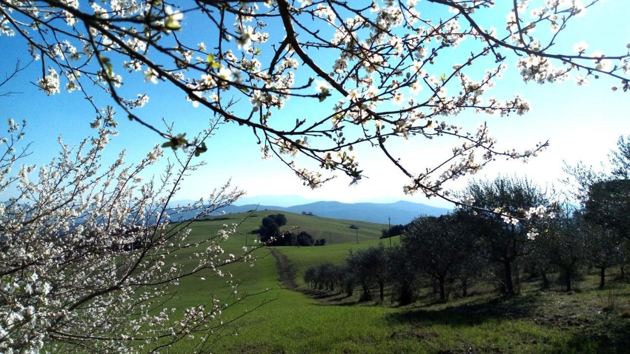 La Pecora Verde 산지미냐노 외부 사진