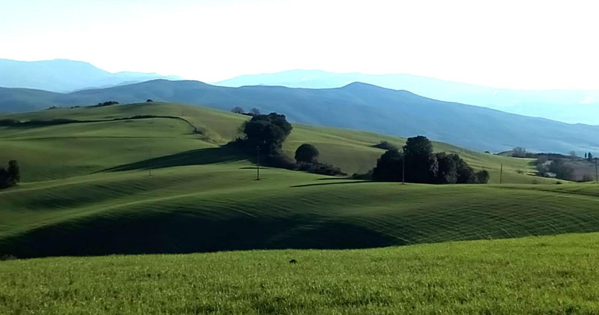 La Pecora Verde 산지미냐노 외부 사진