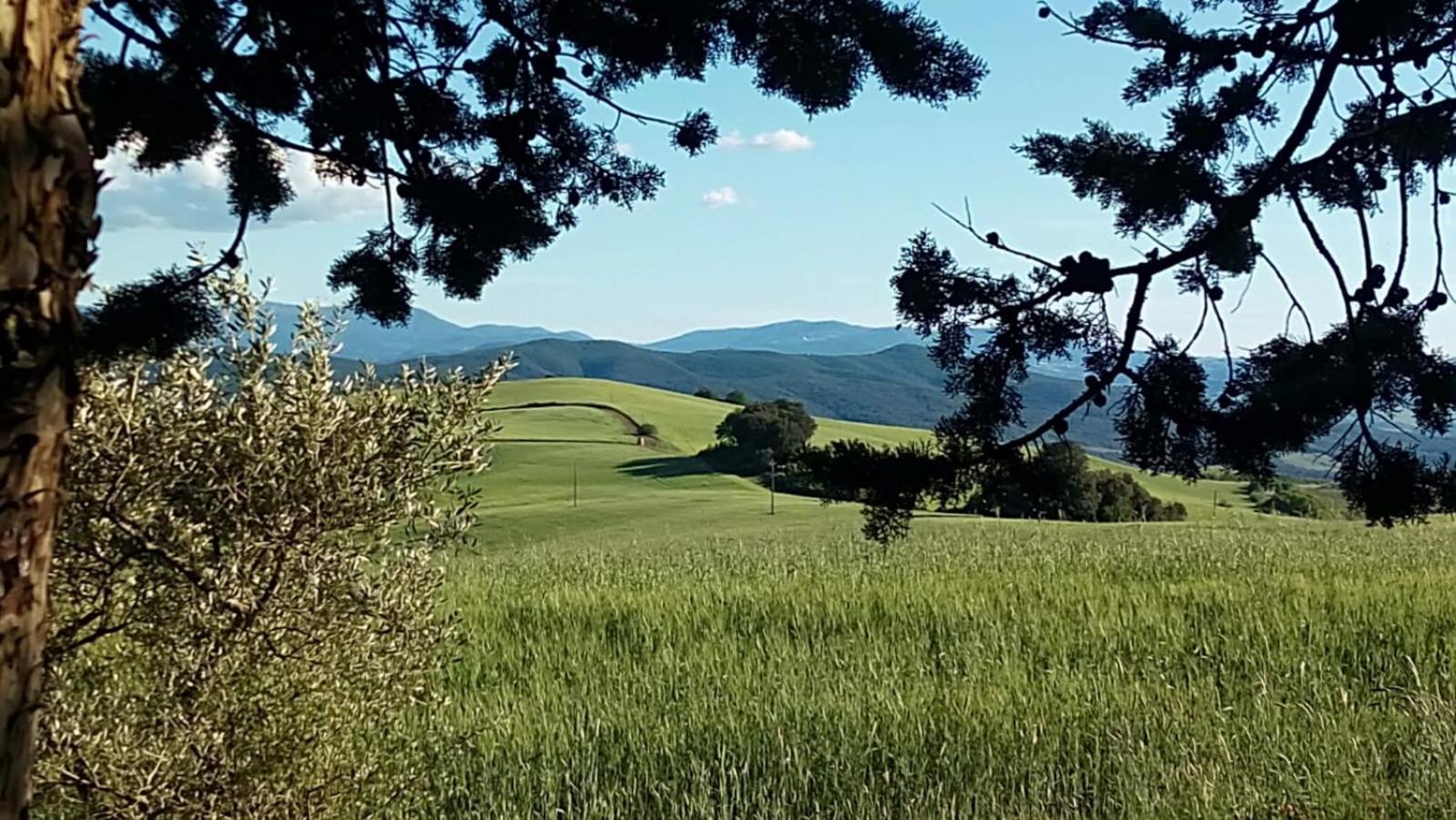 La Pecora Verde 산지미냐노 외부 사진